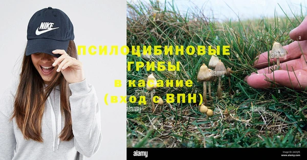 МДПВ Алексин