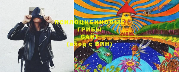 МДПВ Алексин