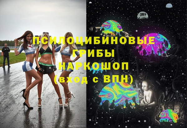 ГАЛЛЮЦИНОГЕННЫЕ ГРИБЫ Абдулино