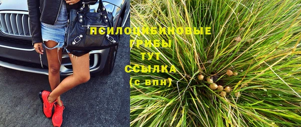 МДПВ Алексин