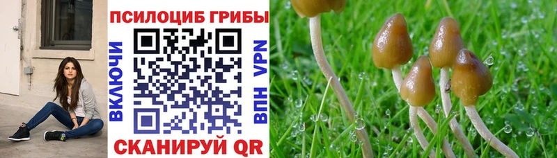 Псилоцибиновые грибы Magic Shrooms  площадка как зайти  Суджа 